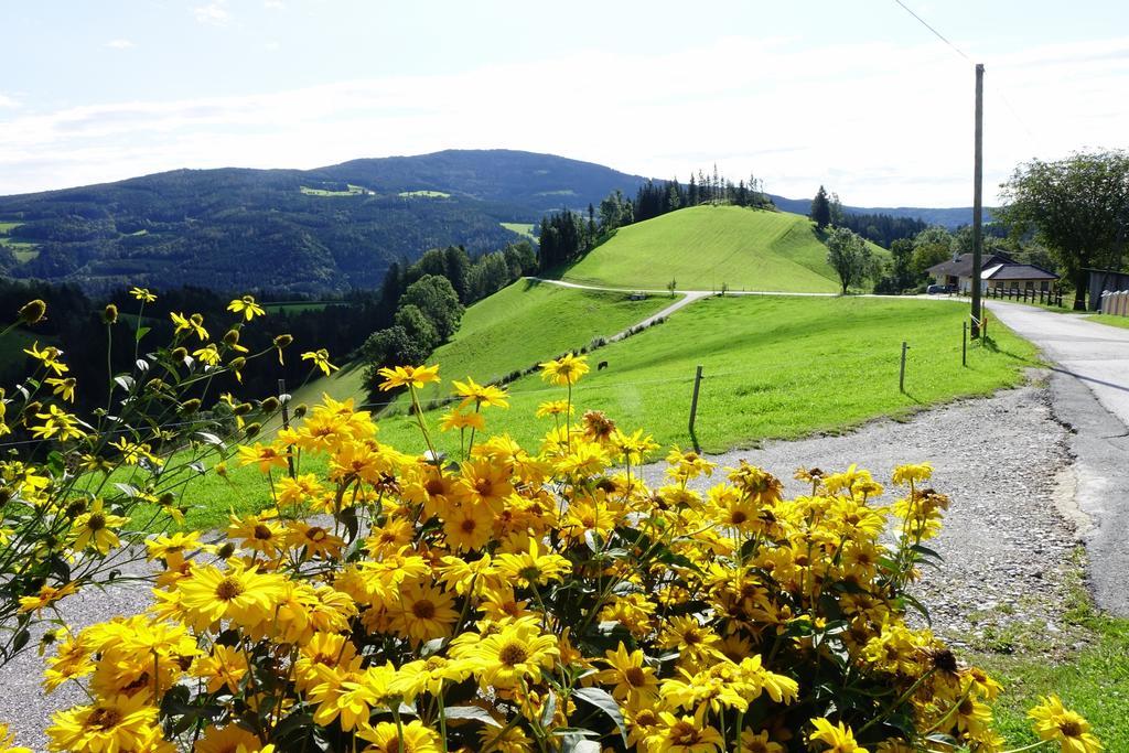 Ferienwohnungen Perhofer Birkfeld Экстерьер фото