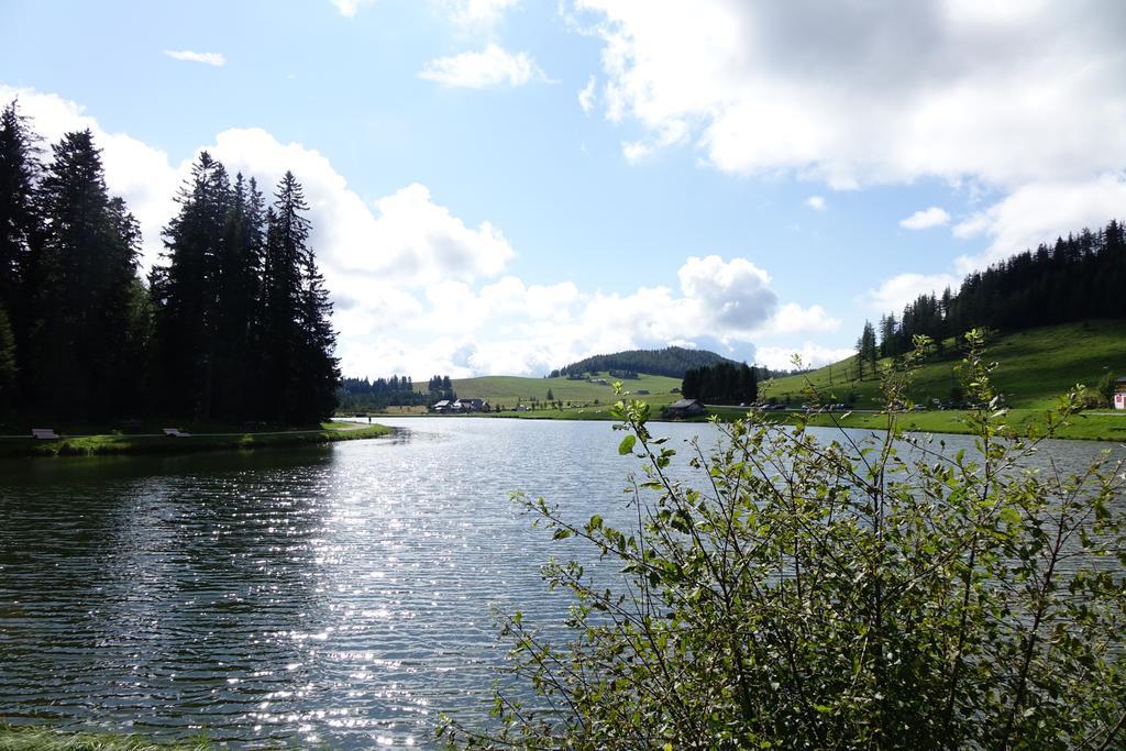 Ferienwohnungen Perhofer Birkfeld Экстерьер фото