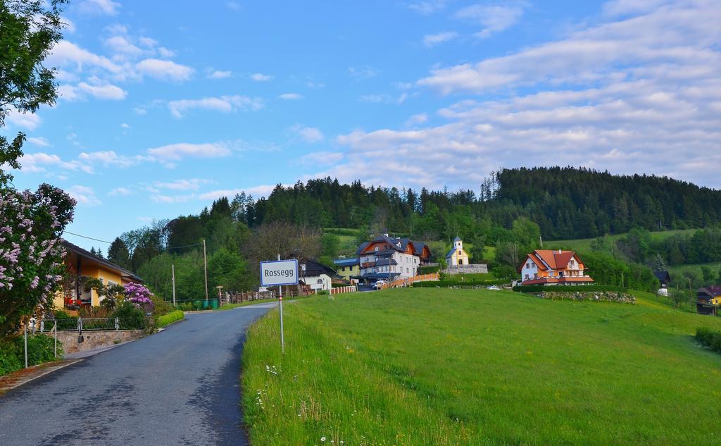 Ferienwohnungen Perhofer Birkfeld Экстерьер фото