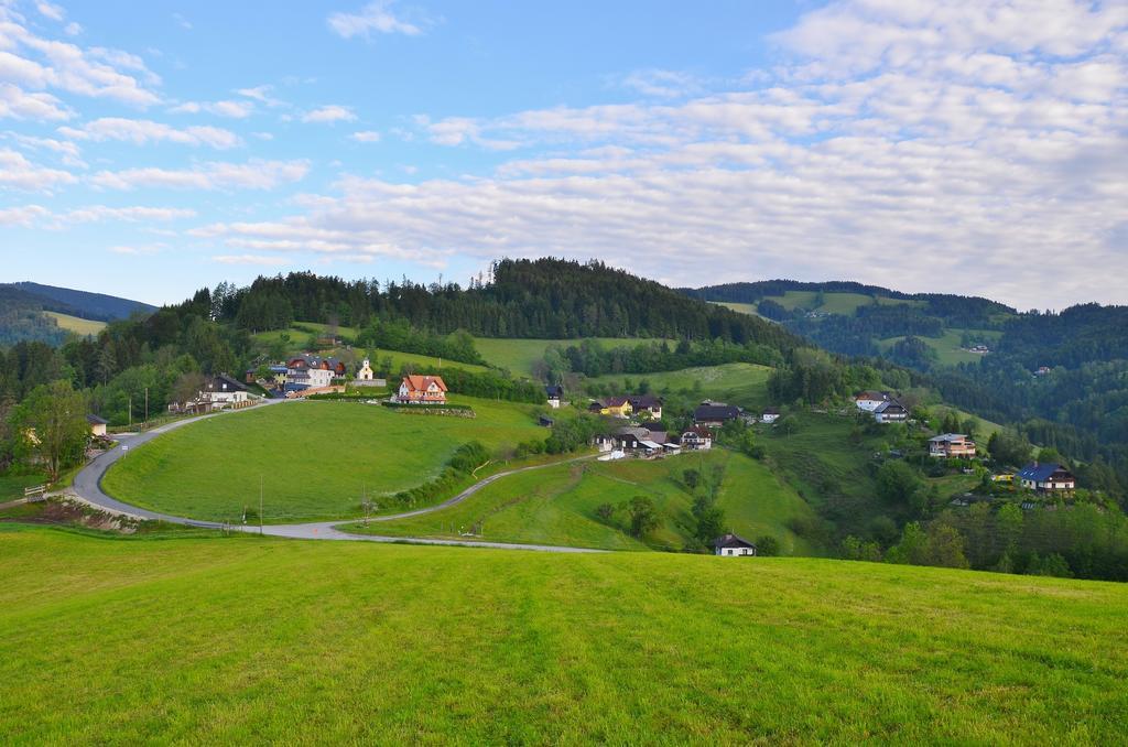 Ferienwohnungen Perhofer Birkfeld Экстерьер фото